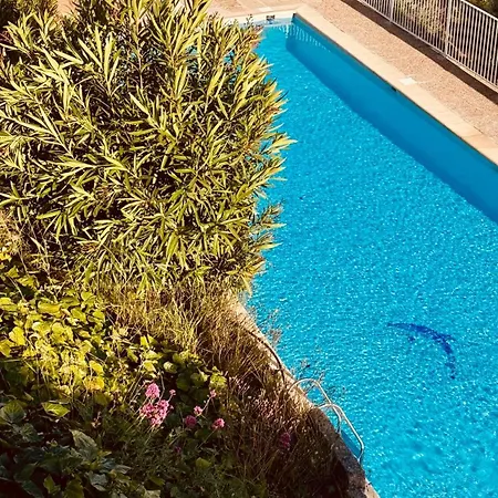 Le Nid D'or - Seul Au Monde Face à La Appartement *
